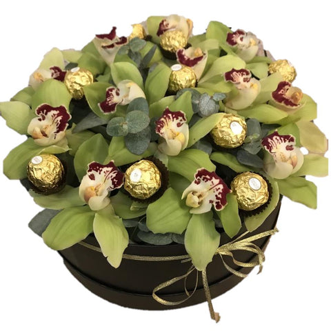 Cymbidium with Chocolate Box