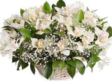 Cymbidium with Gypsophila Basket - Flowers Box London