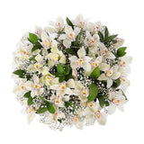 Cymbidium with Gypsophila Basket - Flowers Box London