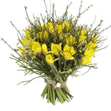 Daffodils with Catkins Bouquet
