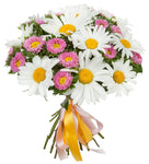 Daisies and Aster Bouquet