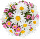 Daisies and Aster Bouquet - Flowers Box London