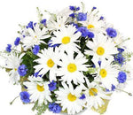 Daisies and Cornflowers Bouquet