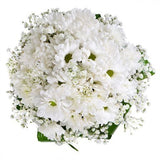 Daisy and Gypsophila Bridal Bouquet