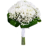 Daisy and Gypsophila Bridal Bouquet