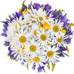 Daisy and Iris Bouquet - Flowers Box London