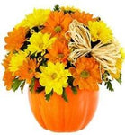Daisy Halloween Pumpkin