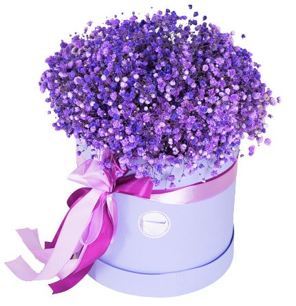 Dark Purple Gypsophila Box