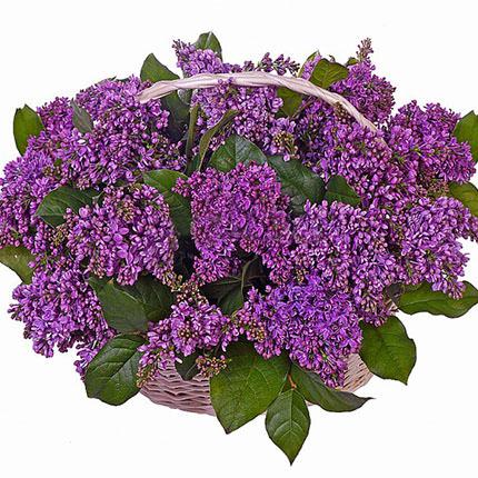 Dark Purple Lilac Basket
