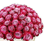 Deep Cherry Roses Box - Flowers Box London