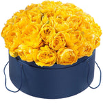 Double Tulips in a Box