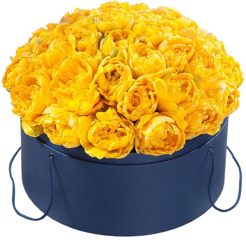 Double Tulips in a Box