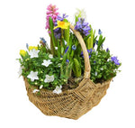 Easter Plants Basket