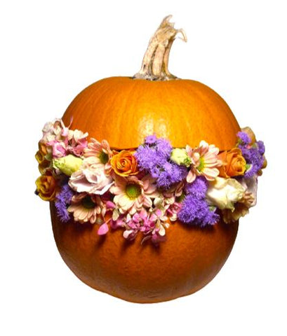 Elegant Pretty Pumpkin