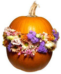 Elegant Pretty Pumpkin - Flowers Box London
