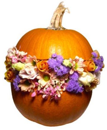 Elegant Pretty Pumpkin - Flowers Box London