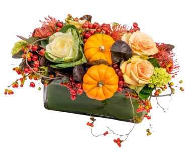 Exotic Orange Arrangement in Glass Pot