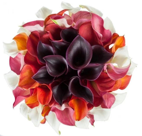 Fabulous Calla Lily Bouquet - Flowers Box London