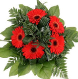 Five Gerber's with Greenery Bouquet - Flowers Box London