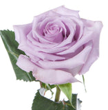 Five Roses with Gypsophila Bouquet - Flowers Box London