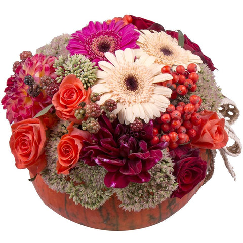 For Fun Pumpkin - Flowers Box London