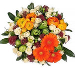 Gorgeous Colorful Box