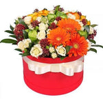 Gorgeous Colorful Box