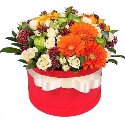 Gorgeous Colorful Box