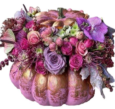 Gorgeous Rose Pink Pumpkin