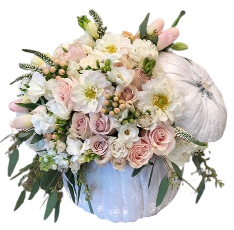 Gorgeous White Pumpkin - Flowers Box London