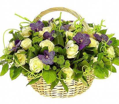 Green Land with Purple Basket