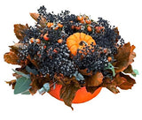 Halloween Black Baby's Breath with Pumpkins