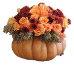 Halloween Roses Pumpkin