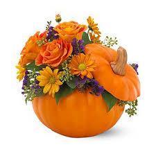Happy Halloween Pumpkin Arrangement
