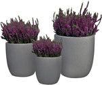 Heather Set Ceramic Pot - Flowers Box London