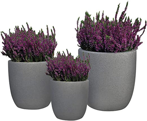 Heather Set Ceramic Pot - Flowers Box London