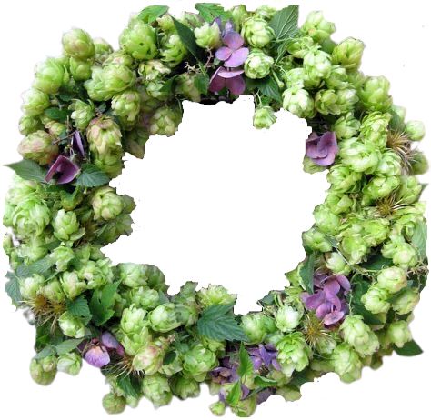 Hops with Purple Door Wreath