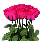 Hot Pink Preserved Rose Stems - Flowers Box London