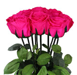 Hot Pink Preserved Rose Stems - Flowers Box London