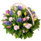 Hyacinth with Tulips Basket - Flowers Box London