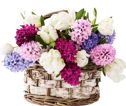 Hyacinths and Peonies Basket - Flowers Box London