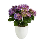 Hydrangea Ceramic Pot