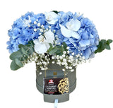 Hydrangea Splendor: Flowers and Japanese Products Gift Set