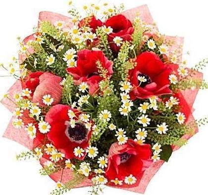 Anemone Bouquet: Red and White Flowers Delivery | Flowers Box London