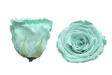 Infinity Roses Glamour Square Box - Rose Head Ø 3,5 cm - Flowers Box London