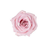 Infinity Roses Hat Box - Rose Head Ø 2cm