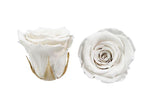 Infinity Roses Heart Box - Rose Head Ø 2cm