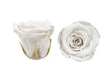 Infinity Roses Heart Box - Rose Head Ø 2cm - Flowers Box London