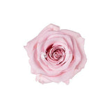 Infinity Roses Heart Box - Rose Head Ø 2cm - Flowers Box London