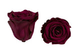 Infinity Roses Heart Box - Rose Head Ø 5cm - Flowers Box London